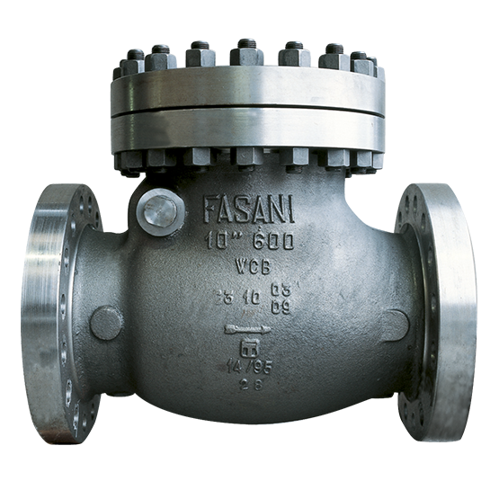 Fasani Bolted Bonnet Check Valves